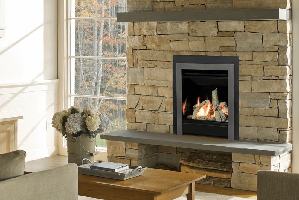 Valor Portrait Gas Fireplace Clearview